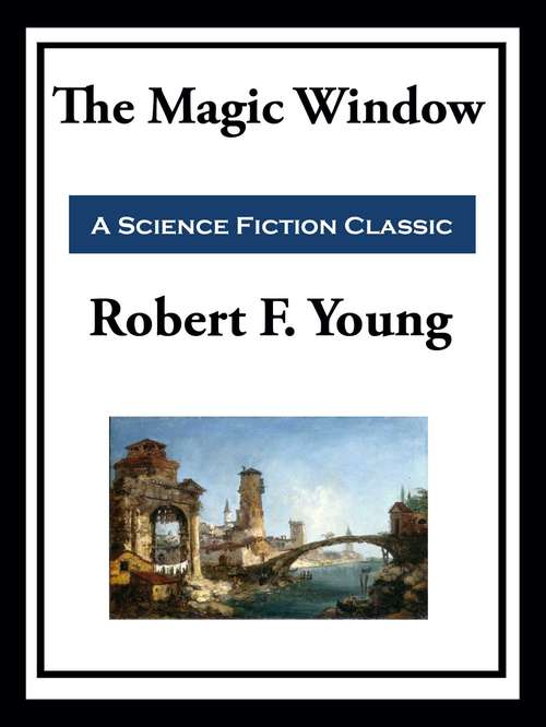 Book cover of The Magic Window