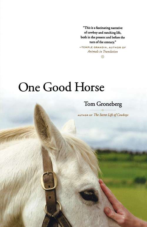 Book cover of One Good Horse