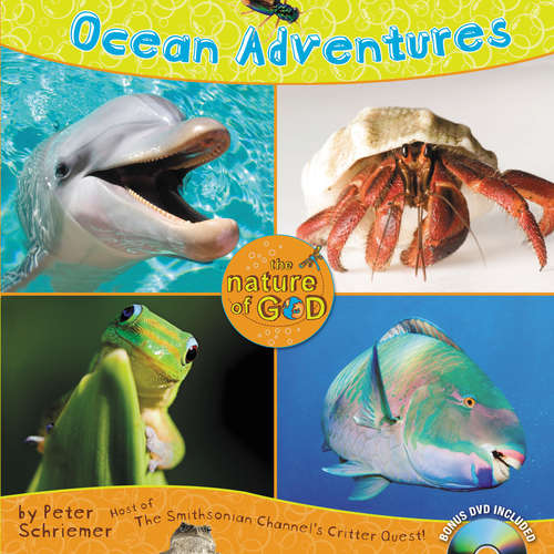 Book cover of Ocean Adventures