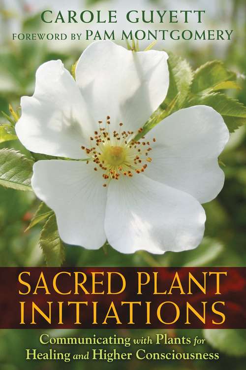 Book cover of Sacred Plant Initiations