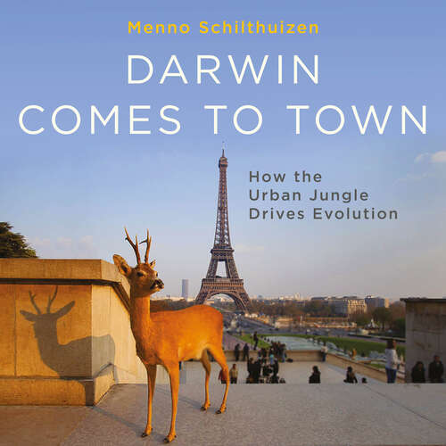 Book cover of Darwin Comes to Town