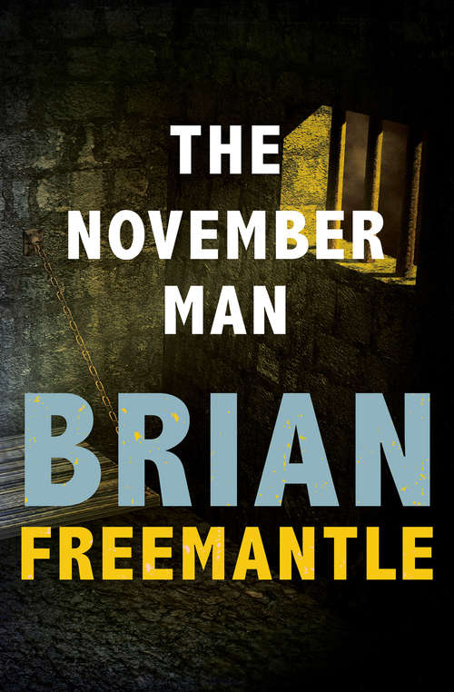 Book cover of The November Man