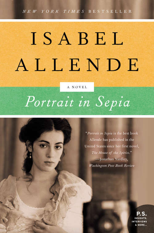 Book cover of Portrait in Sepia