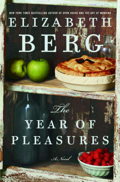 Book cover of The Year of Pleasures