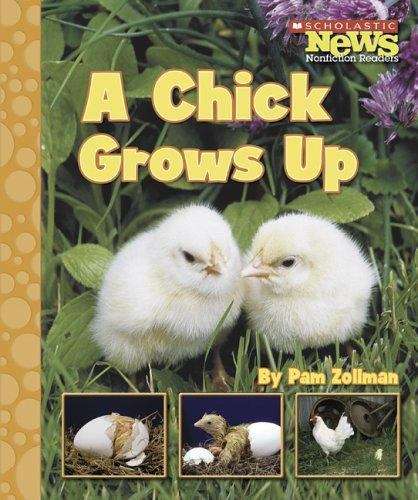 Book cover of A Chick Grows Up