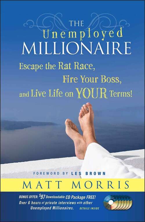 Book cover of The Unemployed Millionaire