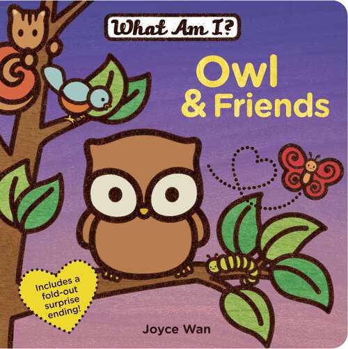 Book cover of Owl & Friends