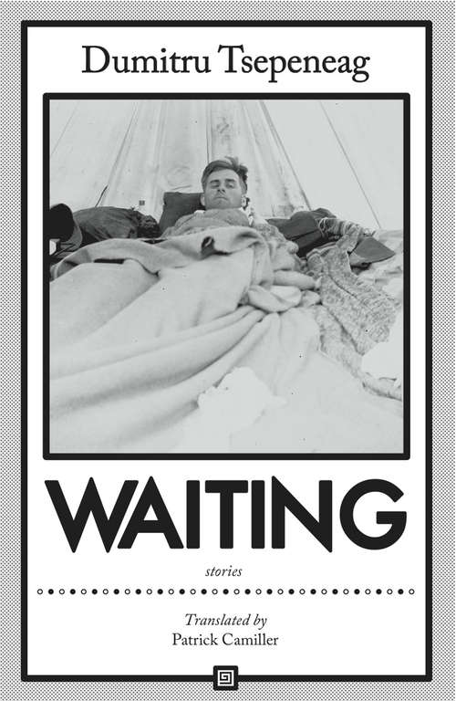 Book cover of Waiting: stories