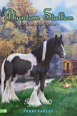 Book cover of Gypsy Gold (Phantom Stallion #23)