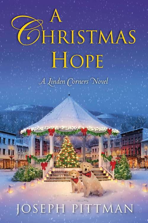 Book cover of A Christmas Hope: