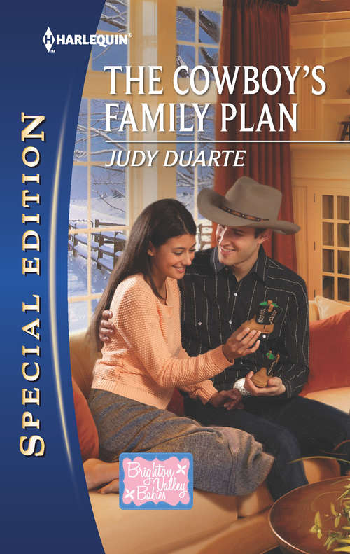 Book cover of The Cowboy's Family Plan