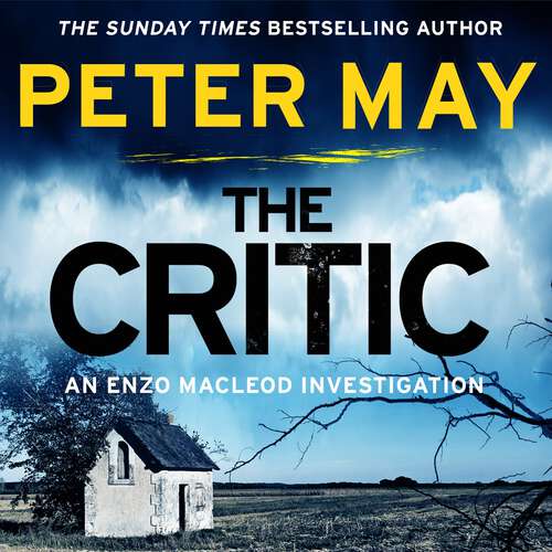 Book cover of The Critic: A tantalising cold-case murder mystery (The Enzo Files Book 2) (The Enzo Files #2)
