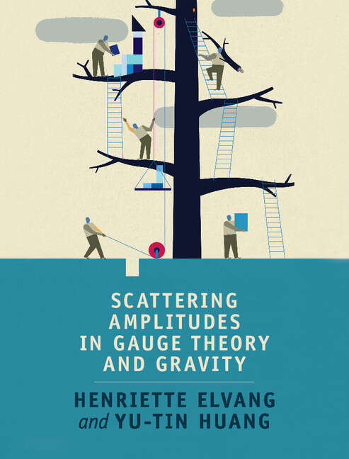 Book cover of Scattering Amplitudes in Gauge Theory and Gravity