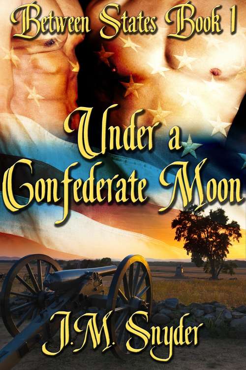 Book cover of Under a Confederate Moon (Between States #1)