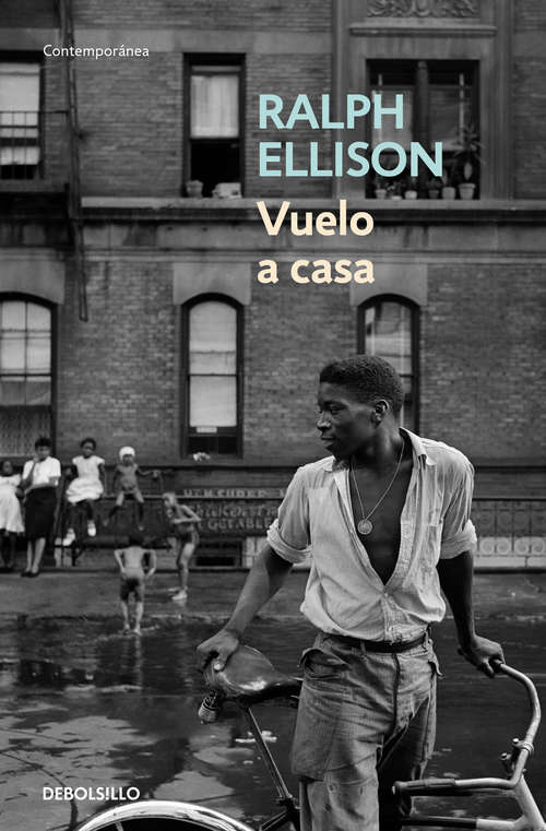 Book cover of Vuelo a casa