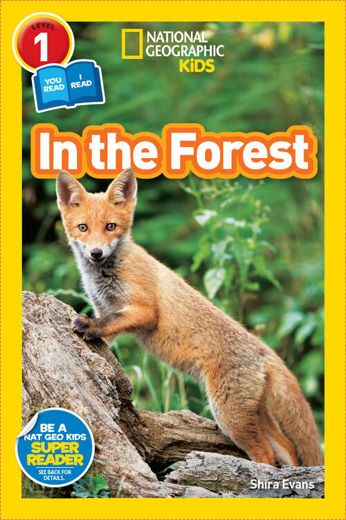 Book cover of In the Forest (Readers)
