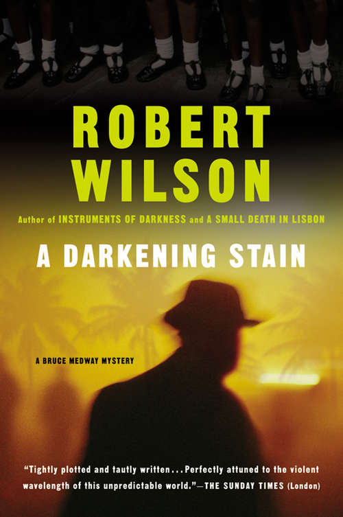 Book cover of A Darkening Stain