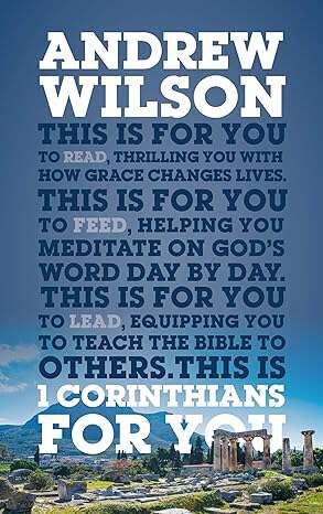 Book cover of 1 Corinthians For You