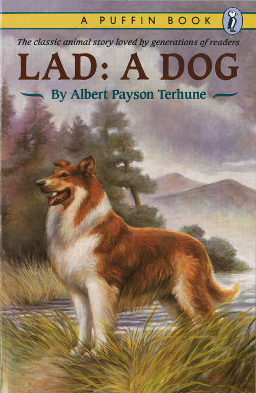Book cover of Lad: A Dog