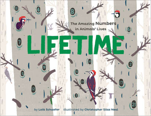 Book cover of Lifetime