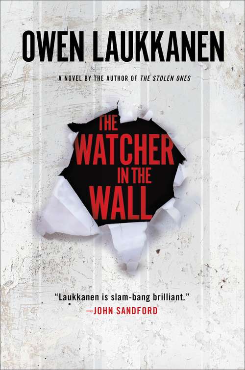 Book cover of The Watcher in the Wall