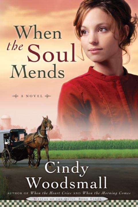 Book cover of When the Soul Mends