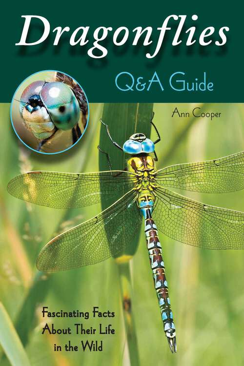 Book cover of Dragonflies: Q&A Guide