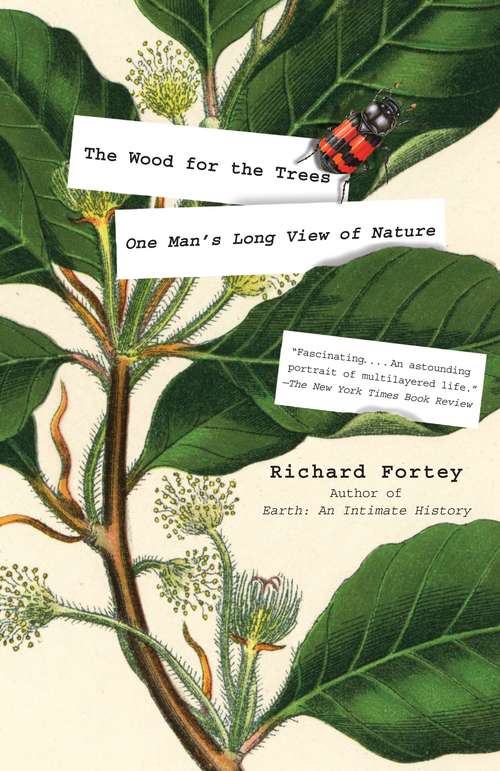 Book cover of The Wood for the Trees: One Man's Long View of Nature