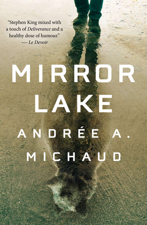 Book cover of Mirror Lake