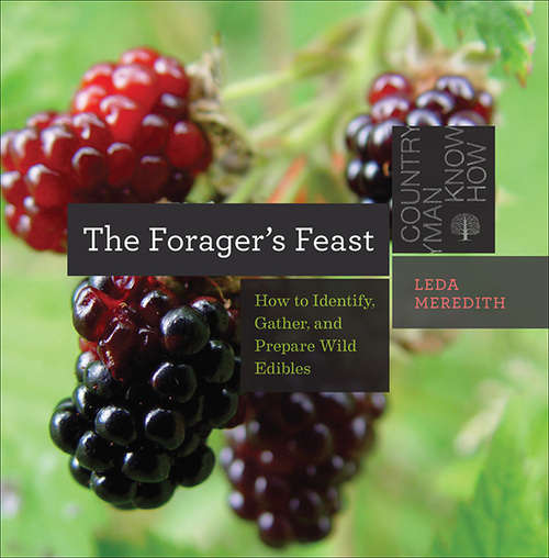 Book cover of The Forager's Feast: How to Identify, Gather, and Prepare Wild Edibles (Countryman Know How)