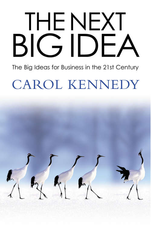 Book cover of The Next Big Idea