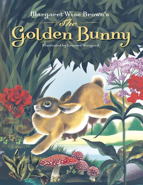Book cover of Margaret Wise Brown's The Golden Bunny
