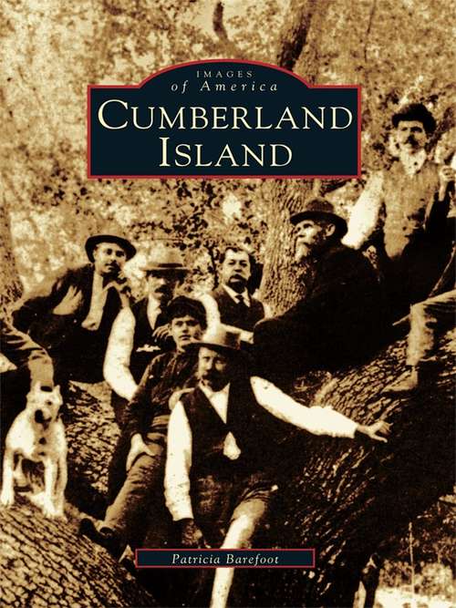 Book cover of Cumberland Island