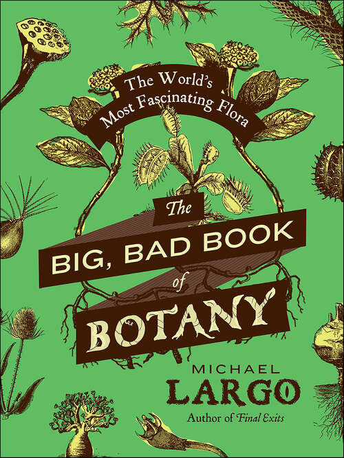 Book cover of The Big, Bad Book of Botany