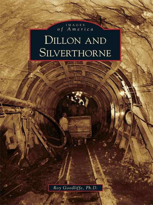 Book cover of Dillon and Silverthorne