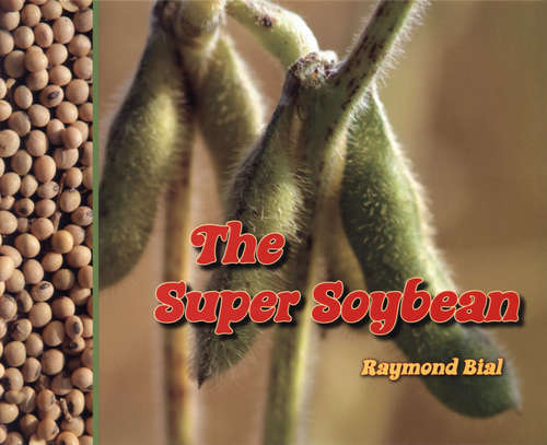 Book cover of The Super Soybean