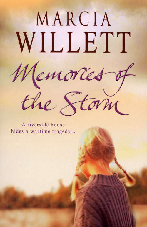 Book cover of Memories Of The Storm