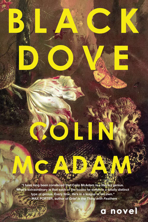 Book cover of Black Dove