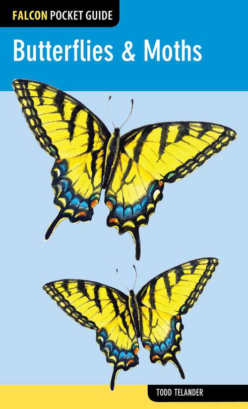 Book cover of Butterflies & Moths (Falcon Pocket Guides)
