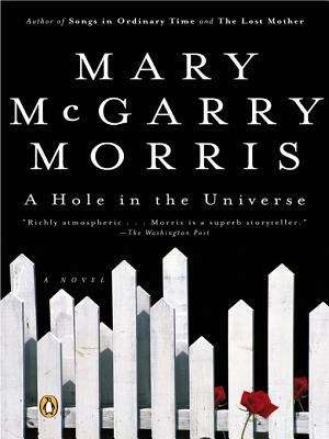 Book cover of A Hole in the Universe