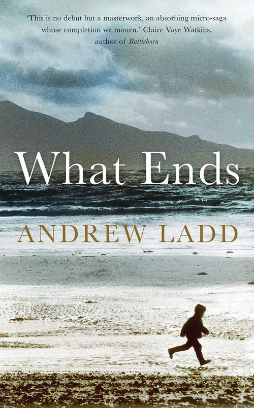 Book cover of What Ends