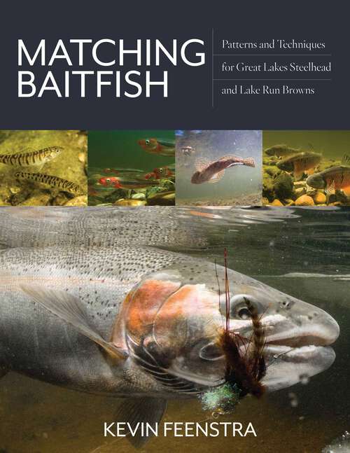 Book cover of Matching Baitfish: Patterns and Techniques for Great Lakes Steelhead and Lake Run Browns