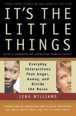 Book cover of It's The Little Things: Everyday Interactions That Anger, Annoy, And Divide The Races