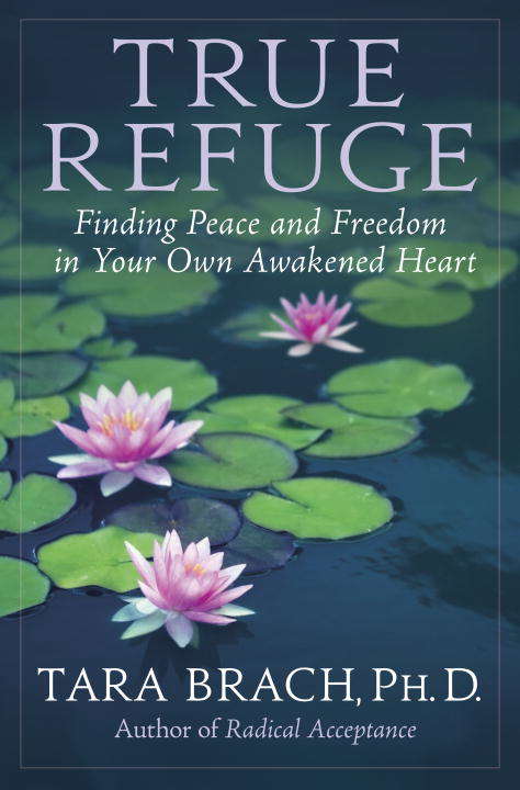 Book cover of True Refuge