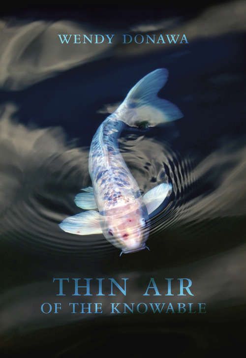 Book cover of Thin Air of the Knowable