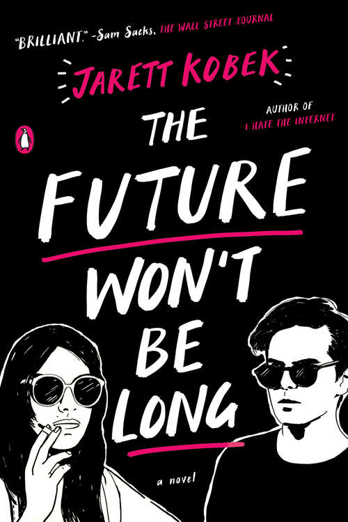 Book cover of The Future Won't Be Long: A Novel