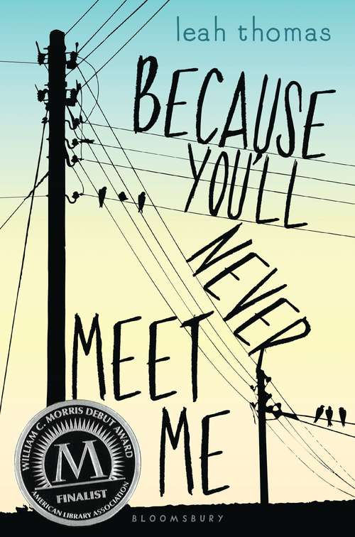 Book cover of Because You'll Never Meet Me