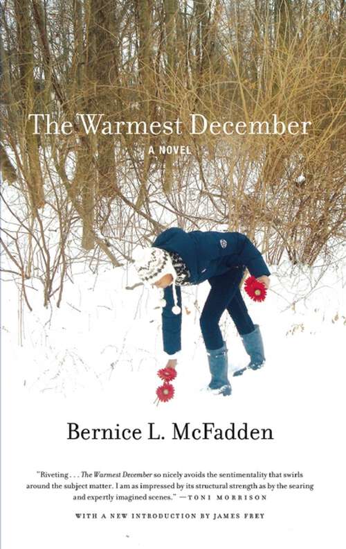 Book cover of The Warmest December: Gathering Of Waters, Glorious, The Warmest December, And Nowhere Is A Place