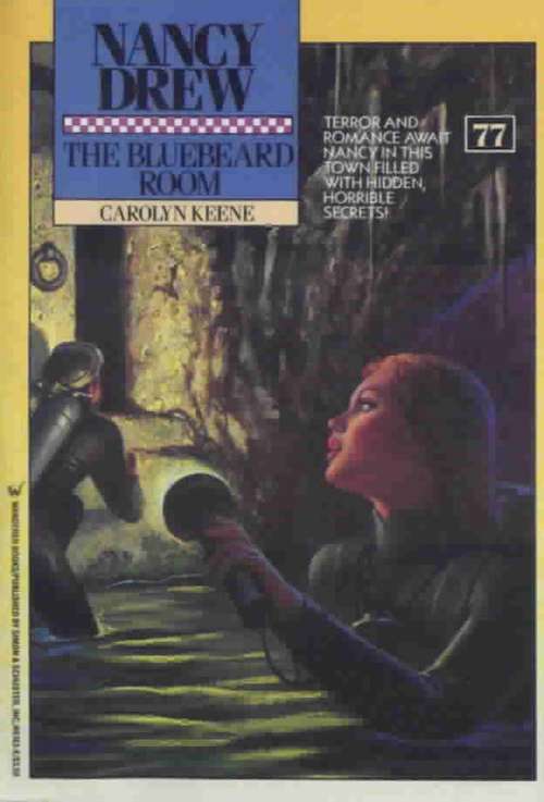 Book cover of The Bluebeard Room