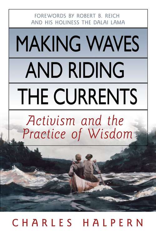 Book cover of Making Waves and Riding the Currents